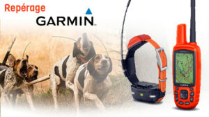 Comparatif colliers GPS pour chien de chasse - Geovie