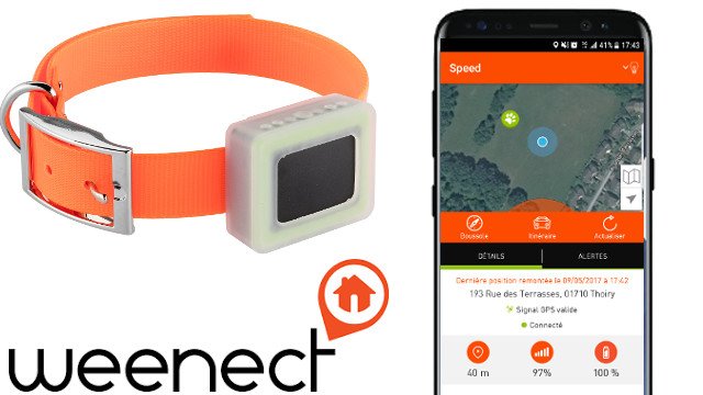 Weenect le nouveau GPS pour chien !