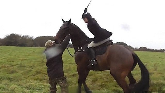 VIDÉO :Une Anti-Chasse s'en prenant à un cheval prend 17 coups de