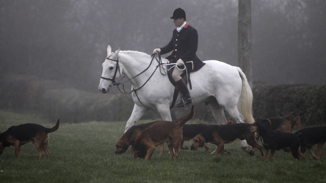 Proposition de loi Chasse à courre