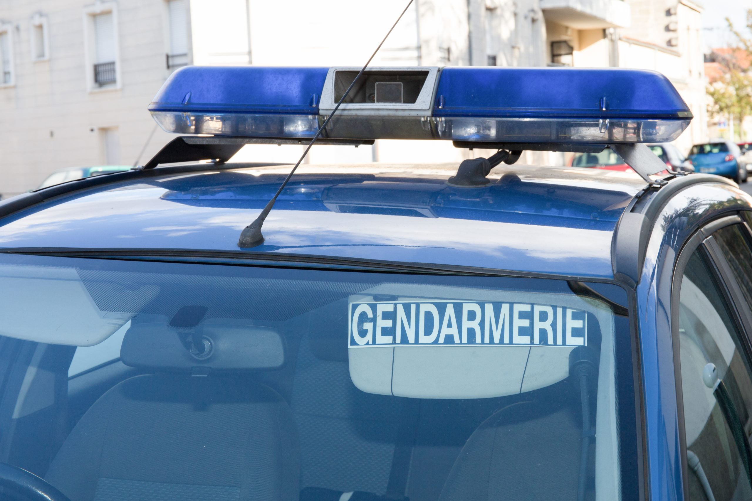 La gendarmerie installe des sifflets anti-gibier sur ses véhicules dans la  Manche.