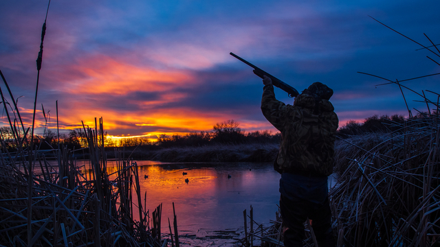 Manche. Une ouverture de la chasse sur fond de polémiques