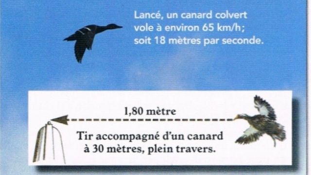 Tir aux canards Mécanique