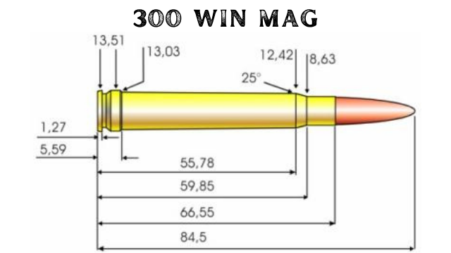 Патроны купить 300. Размер патрона 300 win mag. Калибр 300 win mag Размеры. Размер патрона 300wm. 300 WM Калибр в мм.