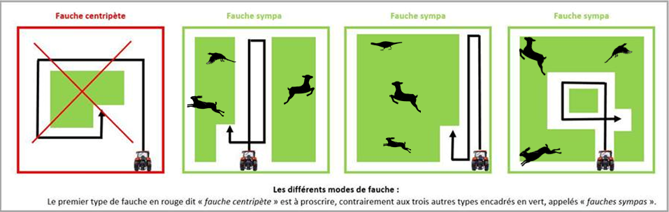 Parcours de fenaison