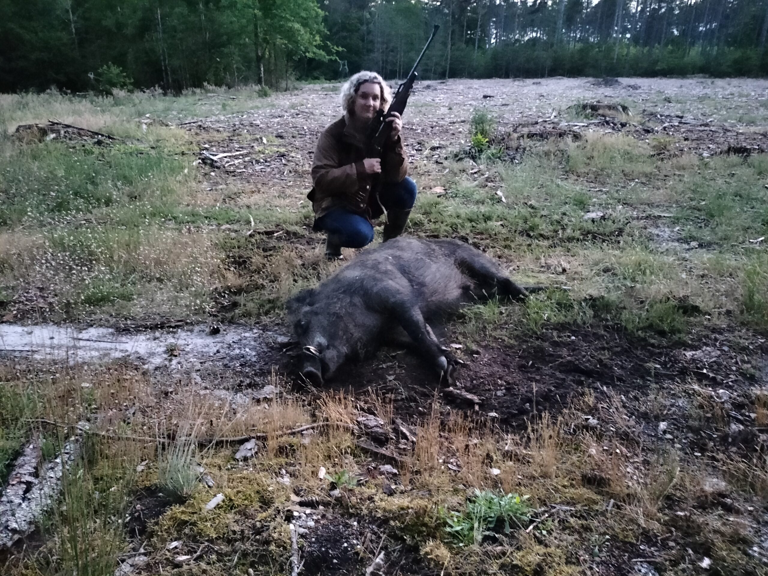 Un sanglier de 148 kilos tiré dans le Gers - Chasse Passion