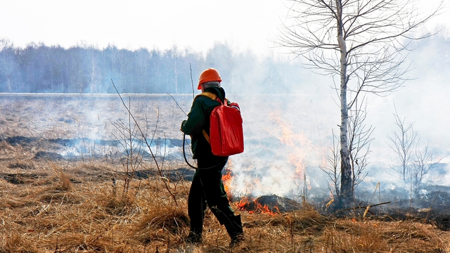 incendies en Gironde