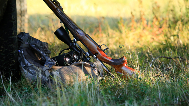 Une nouvelle proposition de loi pour interdire la chasse à courre