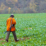 Fédération Nationale des chasseurs