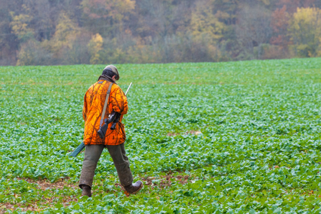 Fédération Nationale des chasseurs