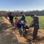 Plantation de haie Seine Maritime