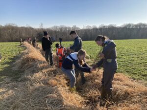 Plantation de haie Seine Maritime